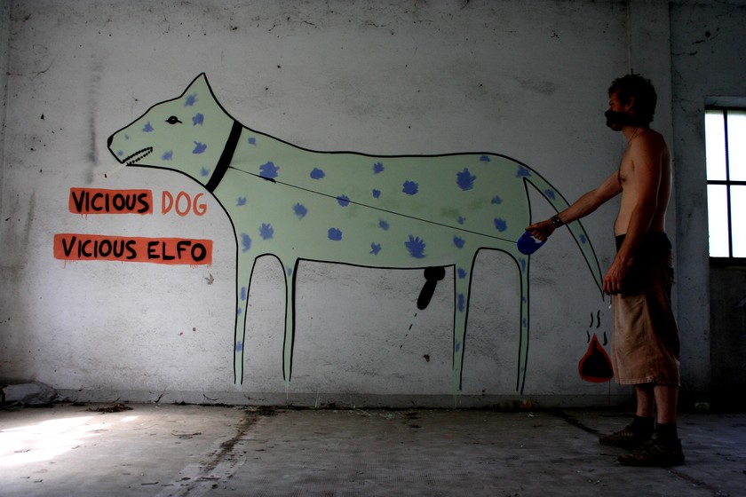 elfo | dog | italy