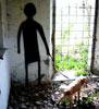 elfo | dog | italy (39 votes)