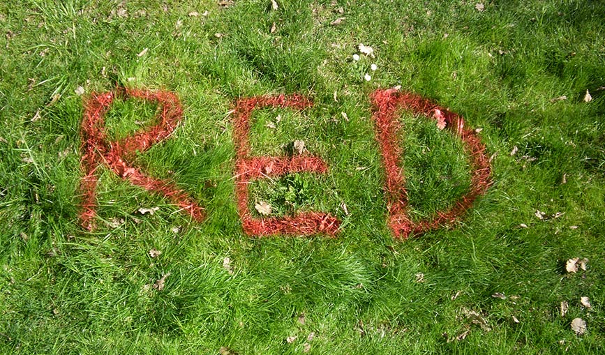 elfo | floor | green | red | colors | grass | italy
