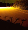 elfo | floor | night | italy (41 votes)
