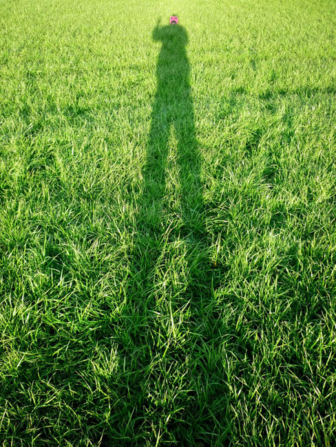 elfo | green | italy