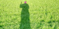 elfo | green | italy (53 votes)