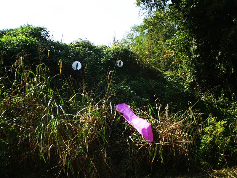 elfo | green | italy