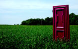 elfo | pink | italy (44 votes)