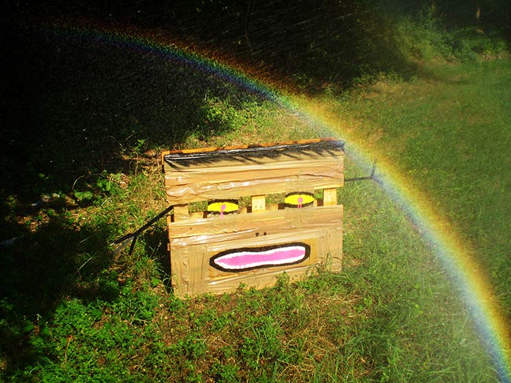 elfo | rainbow | italy