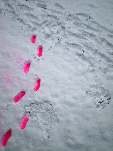 elfo | snow | floor | pink | italy