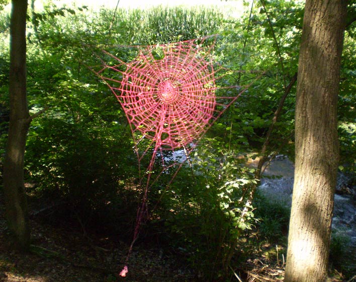 elfo | spider | pink | italy
