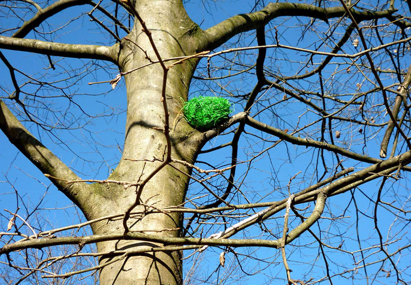 elfo | tree | green | 3-d | italy