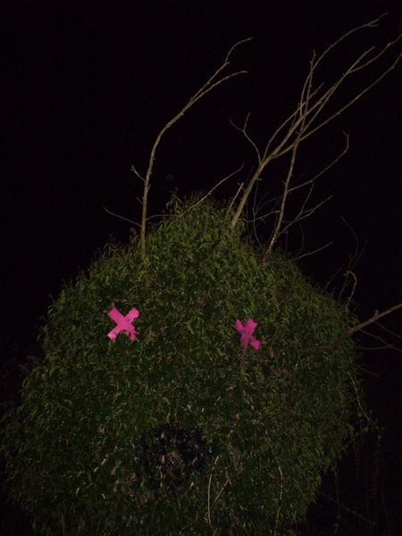 elfo | tree | night | italy