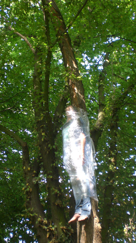 elfo | tree | italy