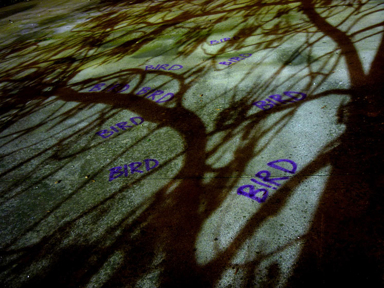 elfo | tree | italy