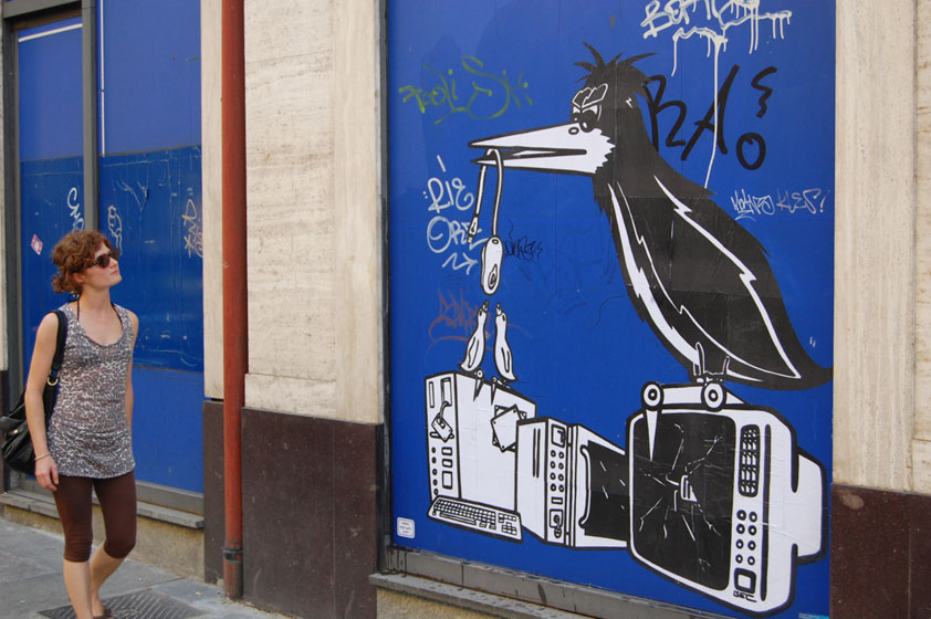 gec | bird | blue | torino | italy
