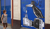 gec | bird | blue | torino | italy (31 votes)