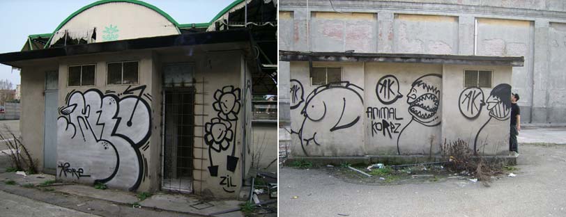 knore | zil | bologna | italy