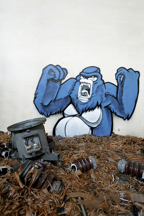 koes | animalkorps | blue | monkey | italy