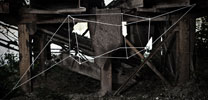 moneyless | 3-d | rimini | italy (33 votes)