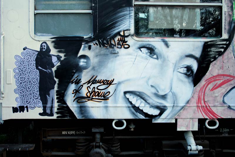neve | train | italy