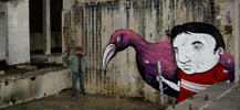 seacreative | bird | italy (36 votes)