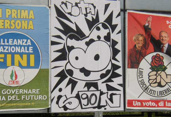 sqon | italy | cat