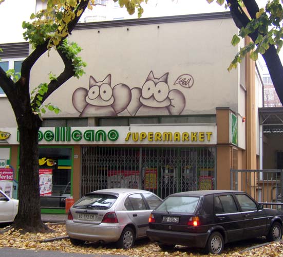 sqon | roof | italy | cat