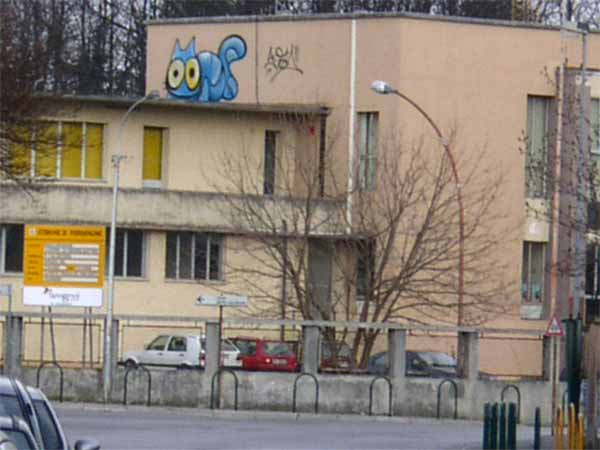 sqon | roof | italy | cat