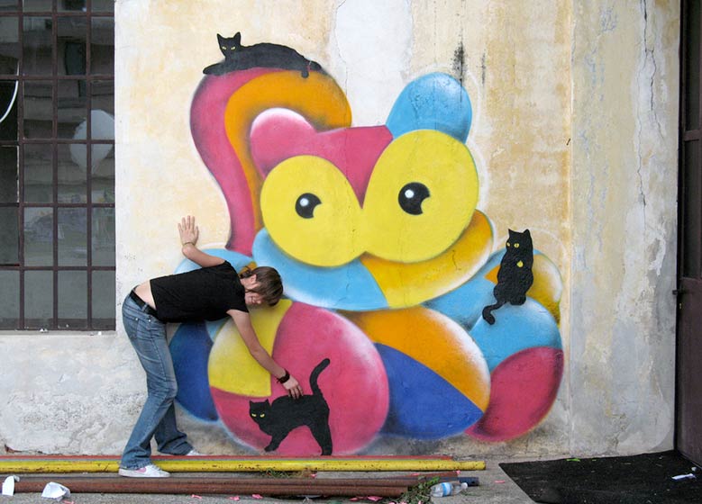sqon | cat | italy