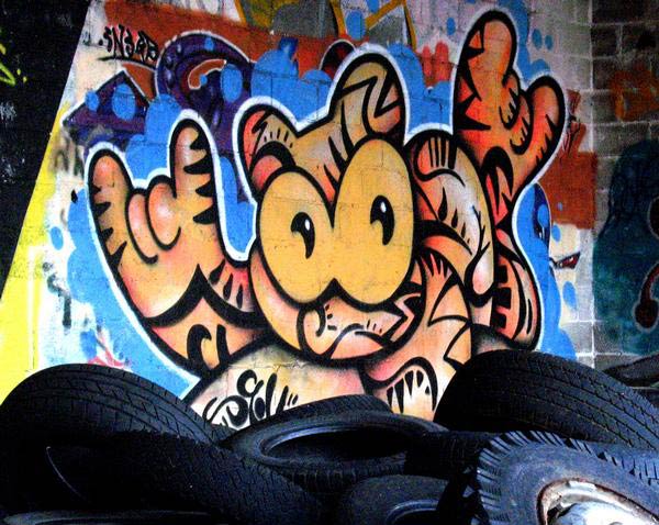 sqon | cat | italy
