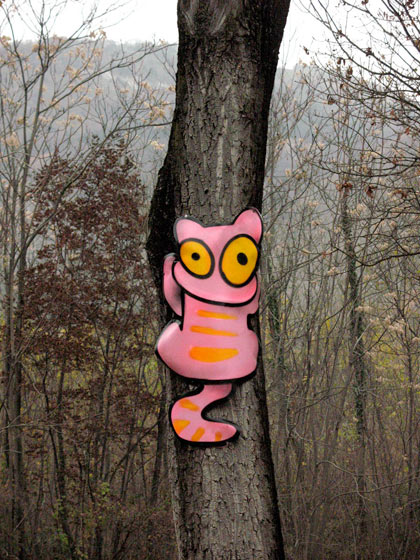 sqon | cat | tree | italy