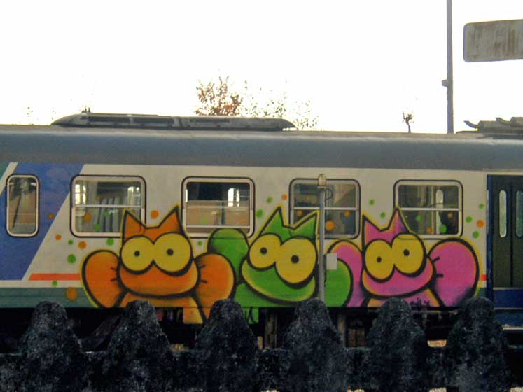 sqon | train | italy | cat