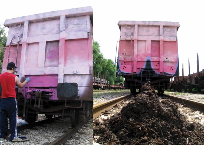 suxe | freight | pink | shit | italy