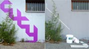 -ct- | purple | italy (31 votes)