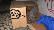 elfo | suxe | floor | italy (22 votes)