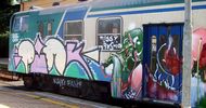 pink | kaio | grebe | train | italy (12 votes)