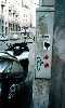 peio | eko | ladybug | milano | italy (1 vote)