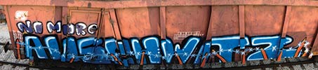 suxe | elfo | freight | italy (50 votes)