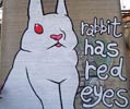 the-burning-heads | rabbit | firenze | italy (31 votes)