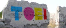 toei | torino | italy (19 votes)