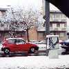 torino | muko | cowboysshoes | snow | italy (3 votes)
