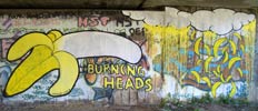 vino | foxy | the-burning-heads | food | italy (15 votes)
