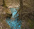 yano | knore | animal-korps | blue | colors | italy (48 votes)