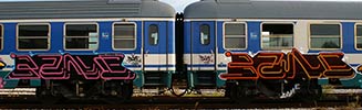 bane | train | italy (38 votes)