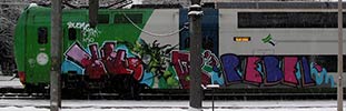 buono | grebe | rebel | kaio | snow | train | italy (21 votes)