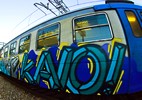 buono | kaio | train | italy (17 votes)