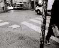 ceko | firenze | italy (5 votes)