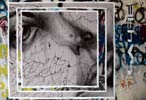 claudio | ethos | italy (24 votes)