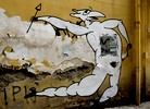 diegomiedo | white | napoli | italy (21 votes)