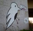 elfo | bird | italy (9 votes)