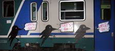 elfo | bird | train | italy (22 votes)