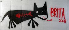 elfo | cat | italy (21 votes)