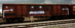 elfo | freight | italy (30 votes)